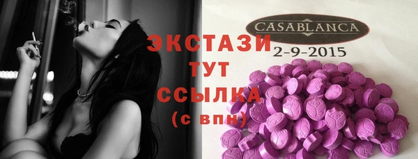 СК Зерноград