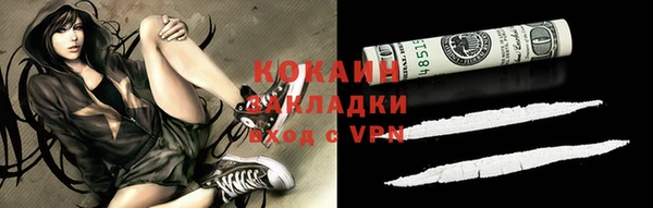 СК Зерноград