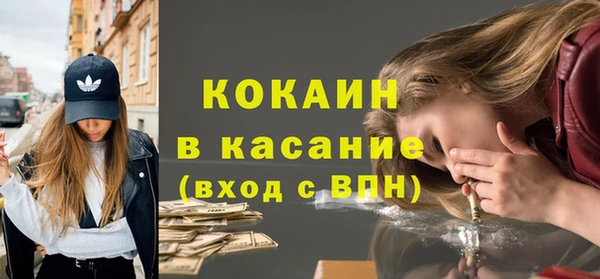 СК Зерноград
