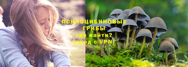 ALPHA PVP Зеленодольск